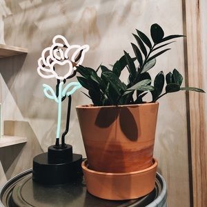 Meet your Posher, Gigi